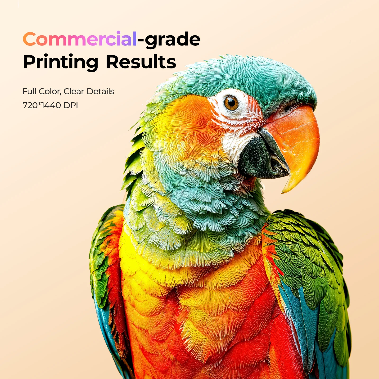 New Arrival! HTVRONT D2 DTF Printer - Image 10